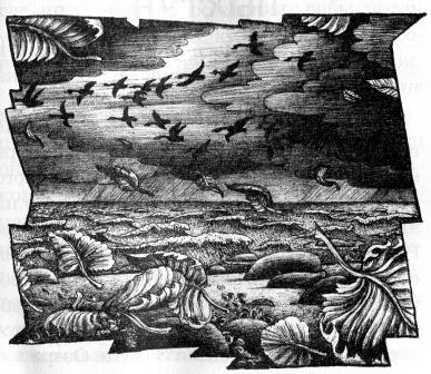 Иллюстрация к книге — Духи реки [picture002.jpg]