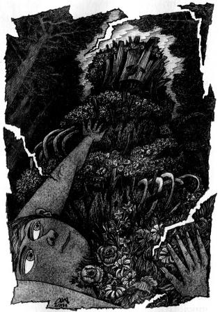 Иллюстрация к книге — Духи реки [picture016.jpg]