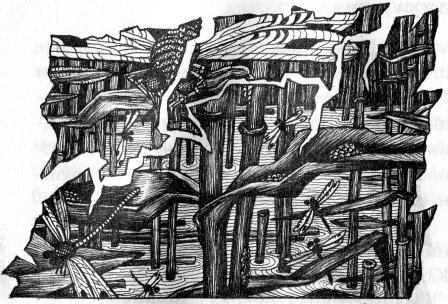 Иллюстрация к книге — Духи реки [picture019.jpg]