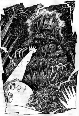 Иллюстрация к книге — Духи реки [picture031.jpg]