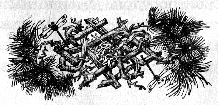 Иллюстрация к книге — Духи реки [picture033.jpg]