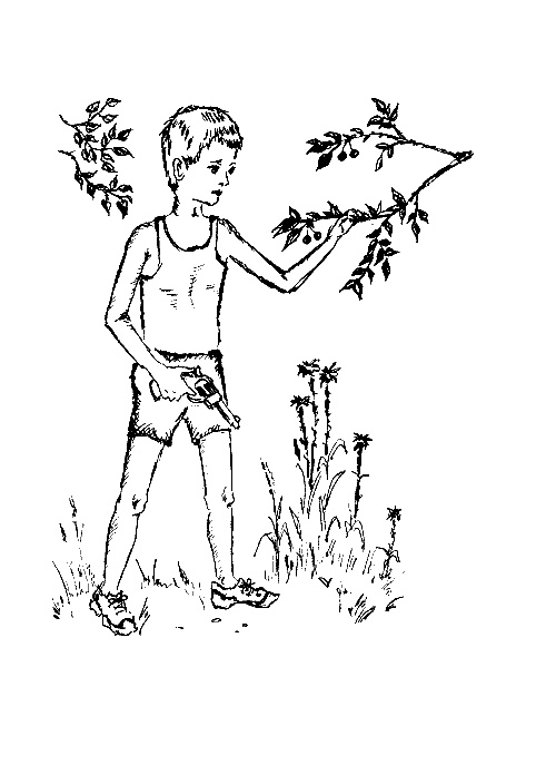 Иллюстрация к книге — Человек дейтерия [i_005.jpg]