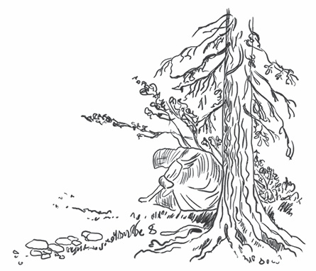 Иллюстрация к книге — Тайга [i_001.jpg]