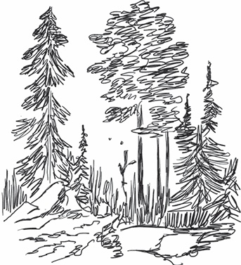 Иллюстрация к книге — Тайга [i_003.jpg]