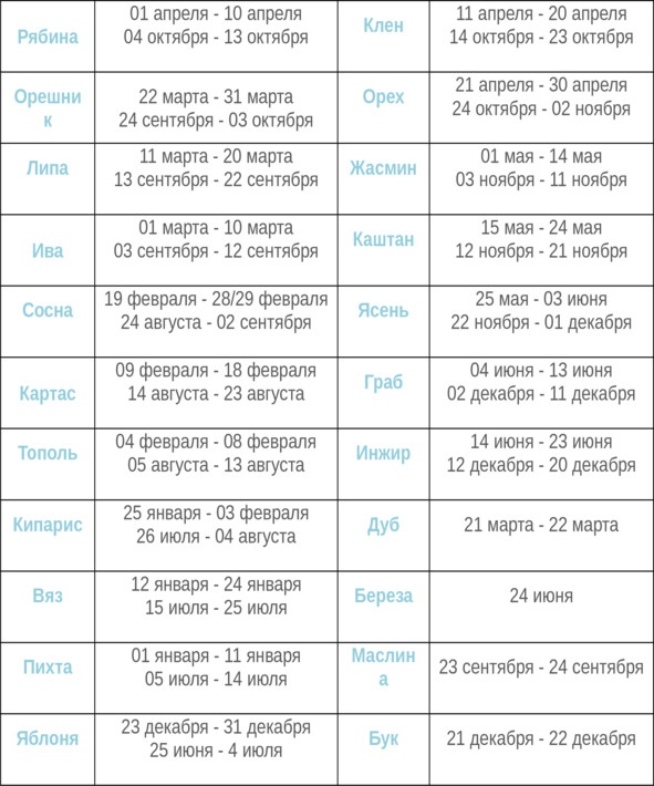 Иллюстрация к книге — Альтерфит. Восточная программа для женской красоты и полного очищения организма и души [image5_58f487d86ff3c1f861293eb9_jpg.jpg]