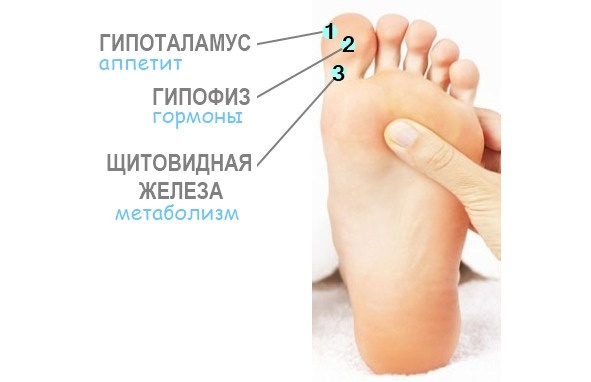 Иллюстрация к книге — Альтерфит. Восточная программа для женской красоты и полного очищения организма и души [image8_58f487d26ff3c1f861293eb0_jpg.jpg]