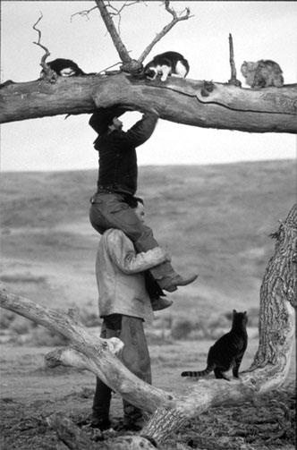 Иллюстрация к книге — Реклама. Принципы и практика [_216.jpg]