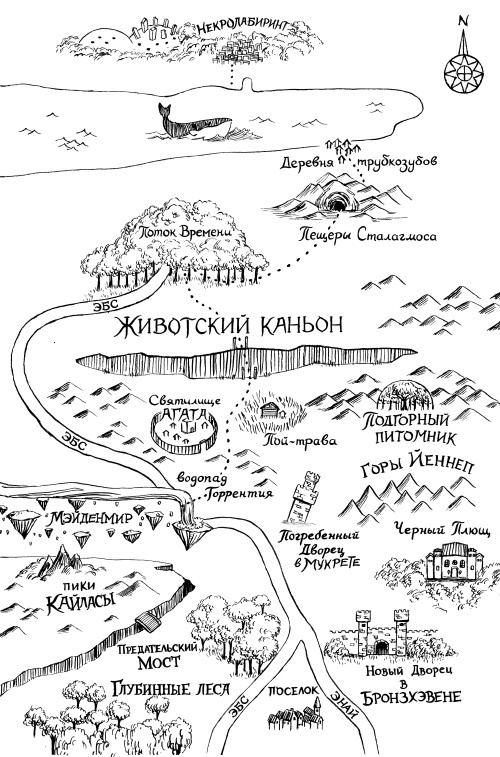 Иллюстрация к книге — Фамильяры. Книга 2. Загадки Короны [i_001.jpg]