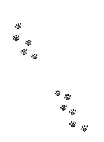 Иллюстрация к книге — Фамильяры. Книга 2. Загадки Короны [i_002.jpg]