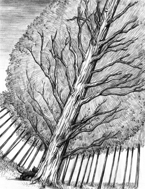 Иллюстрация к книге — Фамильяры. Книга 2. Загадки Короны [i_008.jpg]