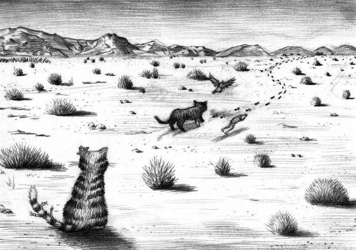 Иллюстрация к книге — Фамильяры. Книга 2. Загадки Короны [i_011.jpg]