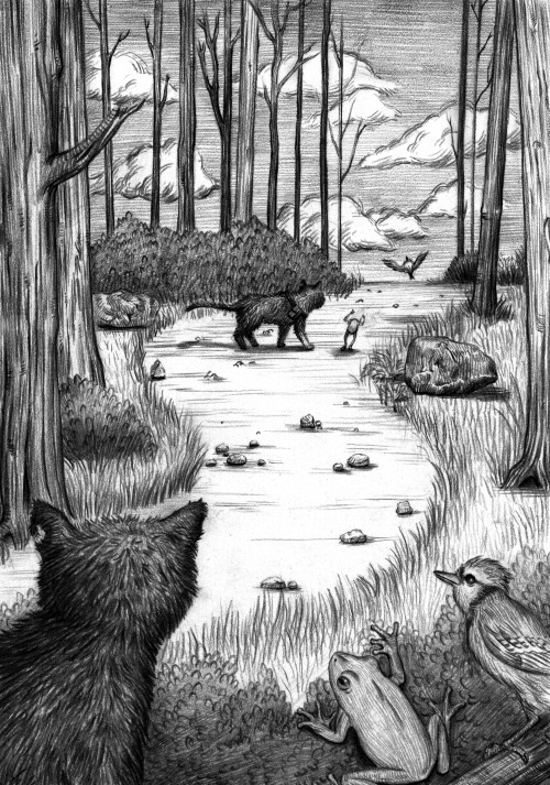 Иллюстрация к книге — Фамильяры. Книга 2. Загадки Короны [i_016.jpg]