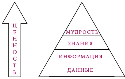 Иллюстрация к книге — Озарение. Как выйти за границы привычного и увидеть в переменах новые возможности для бизнеса [_309.jpg]