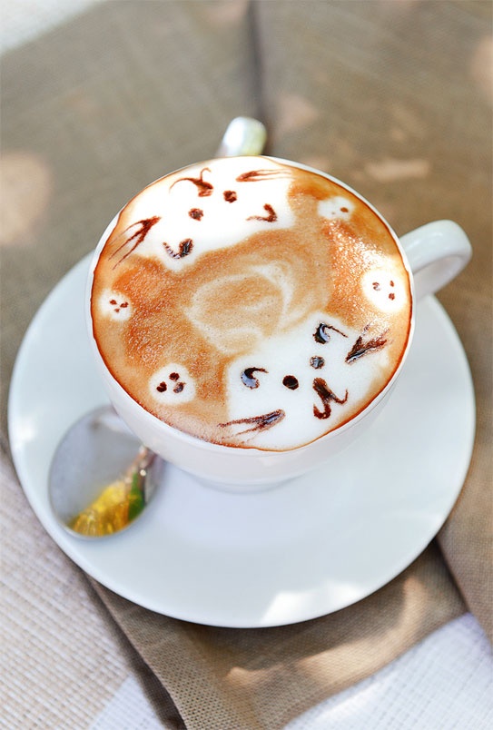 Иллюстрация к книге — Одностраничный маркетинговый план. Как найти новых клиентов, заработать больше денег и выделиться из толпы [_27.jpg]