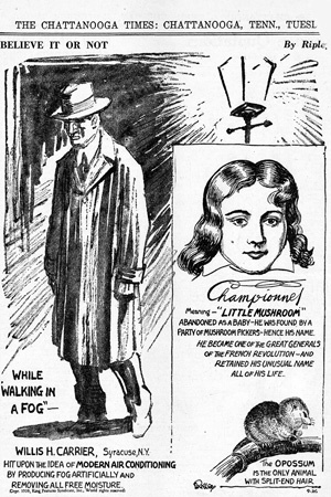 Иллюстрация к книге — В поисках энергии. Ресурсные войны, новые технологии и будущее энергетики [i_113.jpg]