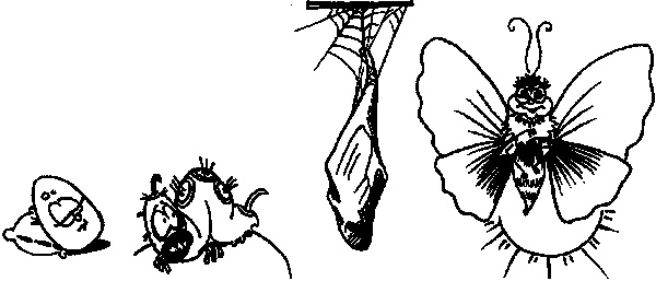 Иллюстрация к книге — Психология эффективного менеджера. Гибкость. Эффективное управление. Психология менеджера. Книга 1. Ситуация управления [i_010.jpg]