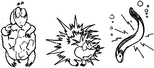 Иллюстрация к книге — Психология эффективного менеджера. Гибкость. Эффективное управление. Психология менеджера. Книга 1. Ситуация управления [i_012.jpg]