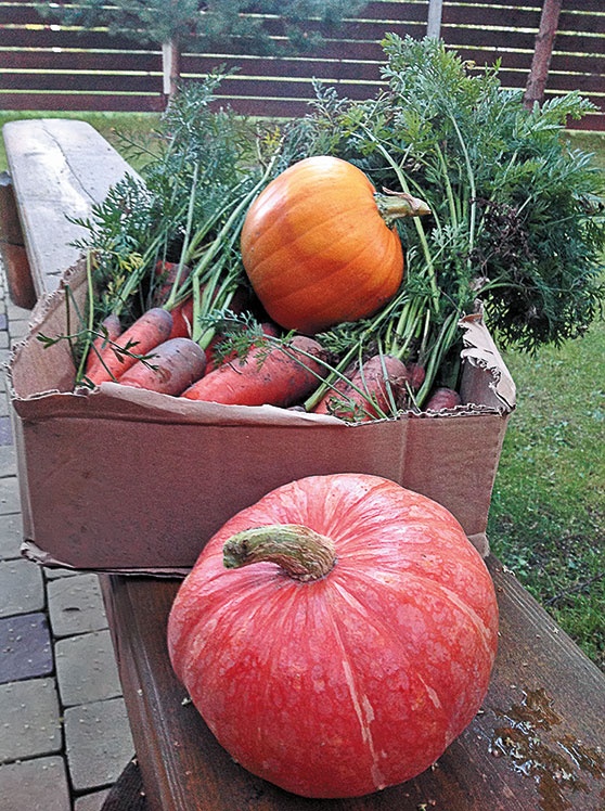 Иллюстрация к книге — (Не)Кулинарная книга. Писательская кухня на Бородинском поле [i_008.jpg]