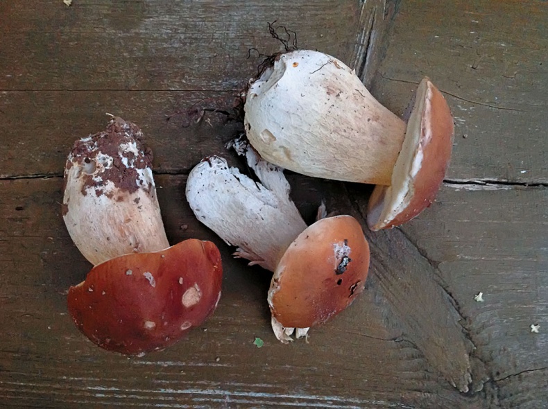 Иллюстрация к книге — (Не)Кулинарная книга. Писательская кухня на Бородинском поле [i_013.jpg]