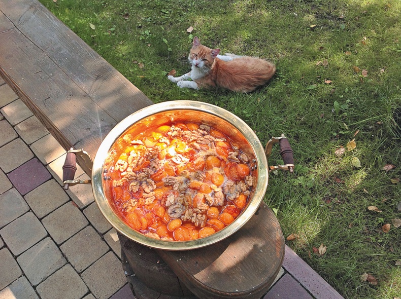 Иллюстрация к книге — (Не)Кулинарная книга. Писательская кухня на Бородинском поле [i_032.jpg]