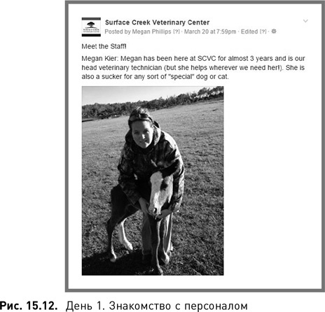 Иллюстрация к книге — Жесткий SMM. Выжать из соцсетей максимум [i_120.jpg]