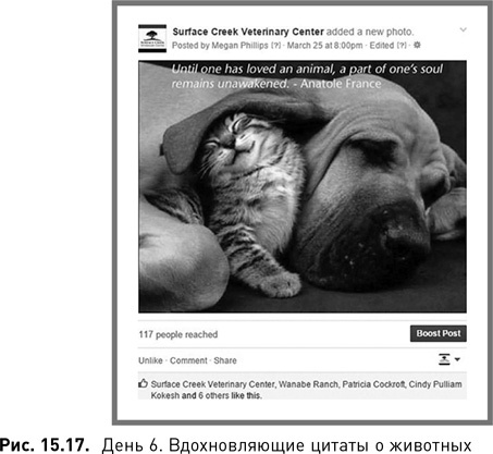 Иллюстрация к книге — Жесткий SMM. Выжать из соцсетей максимум [i_125.jpg]