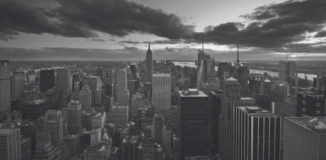 Иллюстрация к книге — Банкротство застройщика. Теория и практика защиты прав граждан – участников строительства [i_001.jpg]