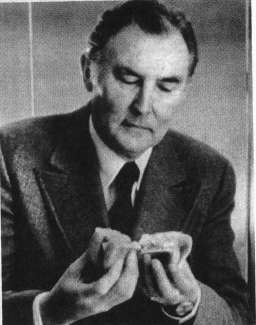 Иллюстрация к книге — McDonald's. О чем молчит БИГМАК? [i_018.jpg]