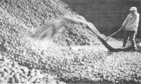 Иллюстрация к книге — McDonald's. О чем молчит БИГМАК? [i_027.jpg]