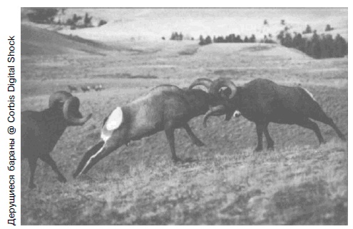 Иллюстрация к книге — Очнись! Выжить и преуспеть в грядущем экономическом хаосе [i_001.jpg]