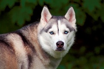 Иллюстрация к книге — Бери и делай! 77 максимально полезных инструментов маркетинга [i_018.jpg]