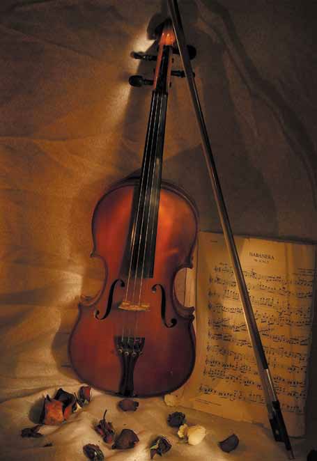 Иллюстрация к книге — Фотография как бизнес: с чего начать, как преуспеть [i_008.jpg]