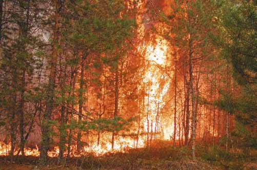 Иллюстрация к книге — Фотография как бизнес: с чего начать, как преуспеть [i_036.jpg]