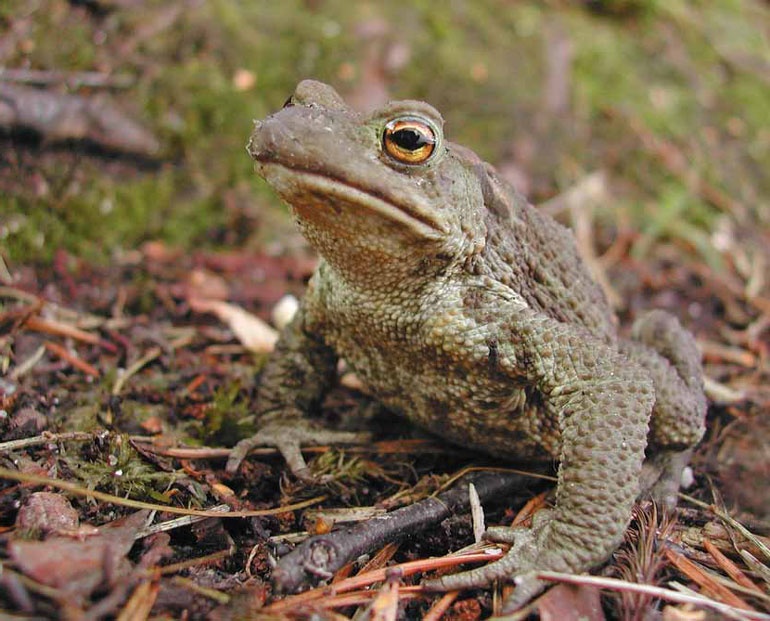 Иллюстрация к книге — Фотография как бизнес: с чего начать, как преуспеть [i_146.jpg]