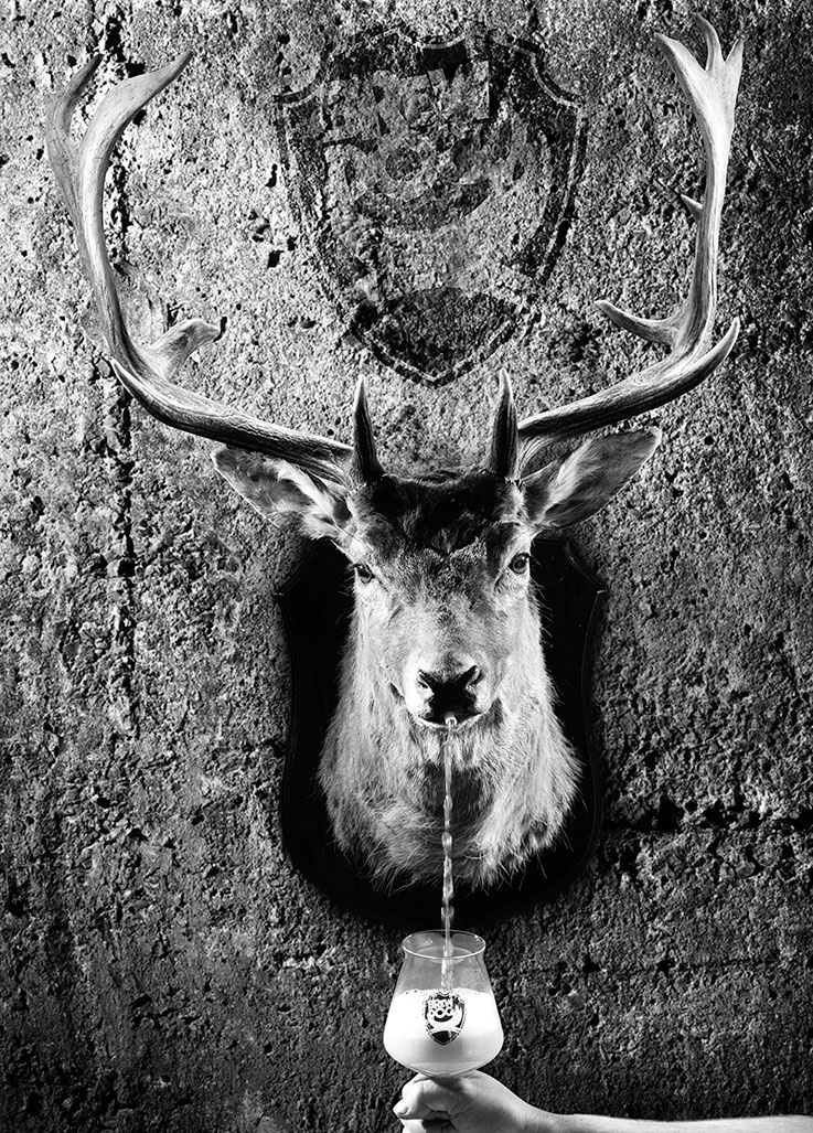 Иллюстрация к книге — Бизнес для панков: Наплюйте на все правила по примеру BrewDog [i_003.jpg]