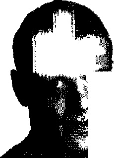 Иллюстрация к книге — Как работать по 4 часа в неделю и при этом не торчать в офисе "от звонка до звонка", жить где угодно и богатеть [pic_5.jpg]