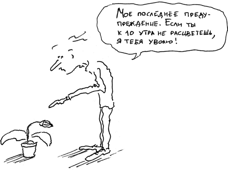 Иллюстрация к книге — Хэгерти о креативности. Здесь нет правил [i_023.jpg]