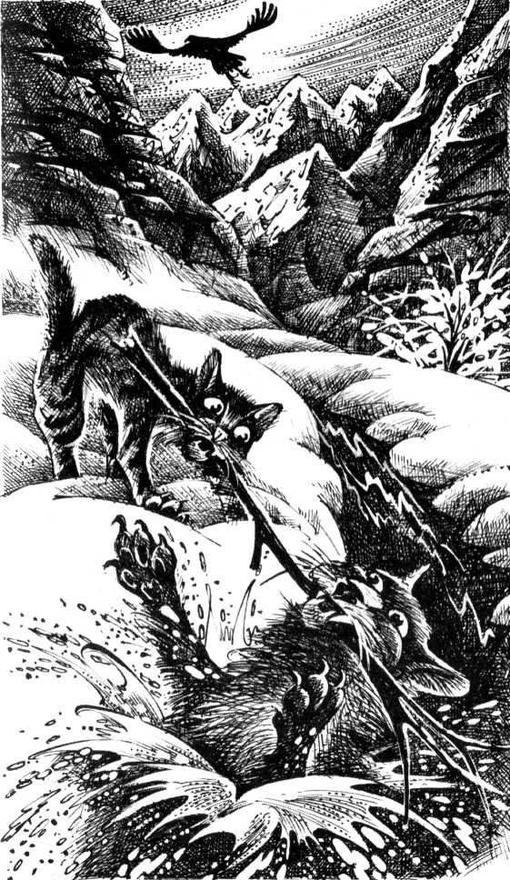 Иллюстрация к книге — Солнечный путь [pic_5.jpg]