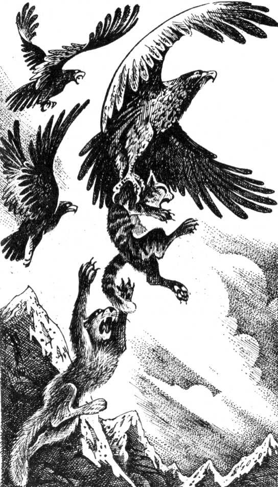 Иллюстрация к книге — Солнечный путь [pic_7.jpg]