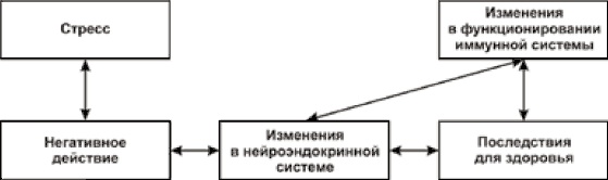 Иллюстрация к книге — Психологический стресс: развитие и преодоление [i_008.jpg]