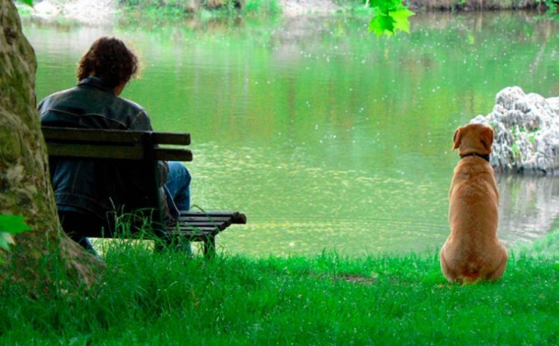 Иллюстрация к книге — Как улучшить сон. Рекомендации для руководителей и бизнесменов [i_014.jpg]