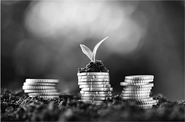 Иллюстрация к книге — 50 секретов проверяющего налоги. Как обезопасить себя, свой бизнес и получить миллион из бюджета [i_036.jpg]