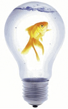 Иллюстрация к книге — Как заработать миллиард, или Интеллектуальный капитал предпринимателя [_080.jpg]