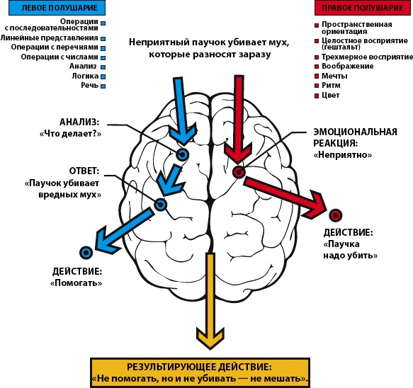 Иллюстрация к книге — Как заработать миллиард, или Интеллектуальный капитал предпринимателя [_127.jpg]
