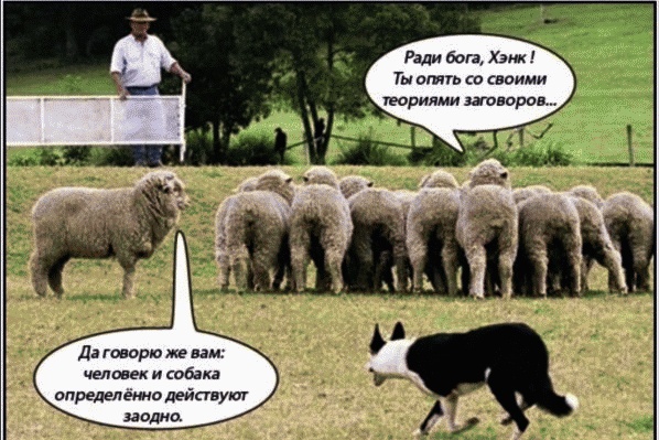 Иллюстрация к книге — Как заработать миллиард, или Интеллектуальный капитал предпринимателя [_190.jpg]