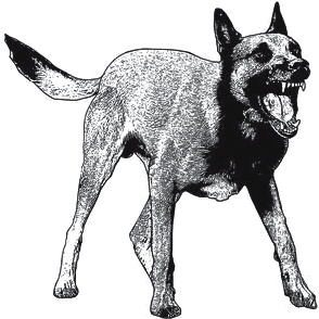 Иллюстрация к книге — Как заработать миллиард, или Интеллектуальный капитал предпринимателя [_542.jpg]