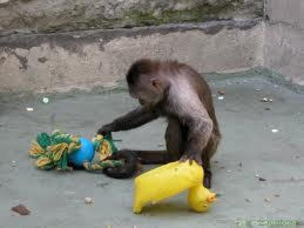 Иллюстрация к книге — Как зарабатывать без первоначальных вложений [autogen_ebook_id2.jpg]