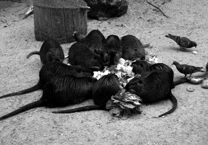 Иллюстрация к книге — Зависть и другие вечные двигатели рекламы [_008.jpg]