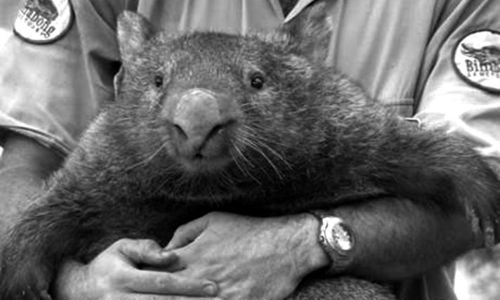 Иллюстрация к книге — Зависть и другие вечные двигатели рекламы [_010.jpg]