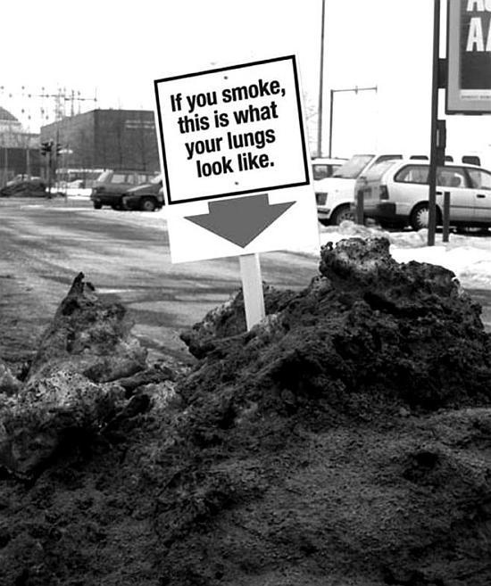 Иллюстрация к книге — Зависть и другие вечные двигатели рекламы [_012.jpg]